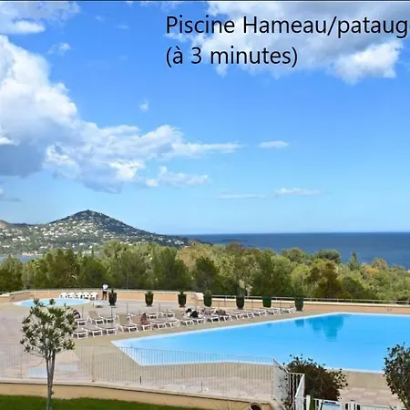 Le Reve D'azur *